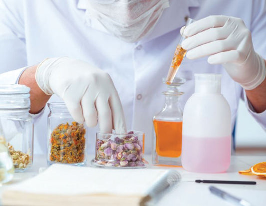 Manufacturing Section